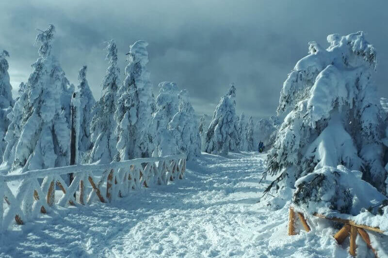 w górach izerskich zimą